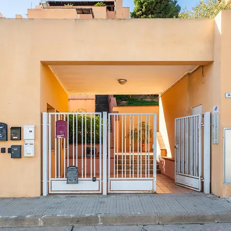 Gemma Piccolino * וילסימיוס